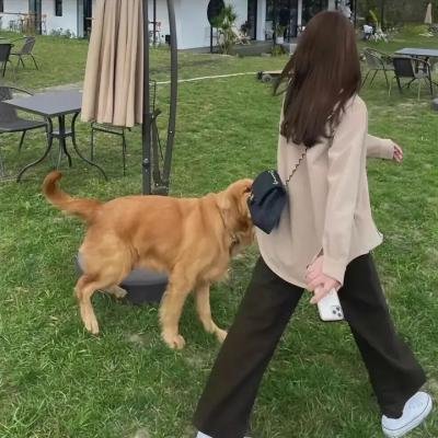 与母亲的蜜月